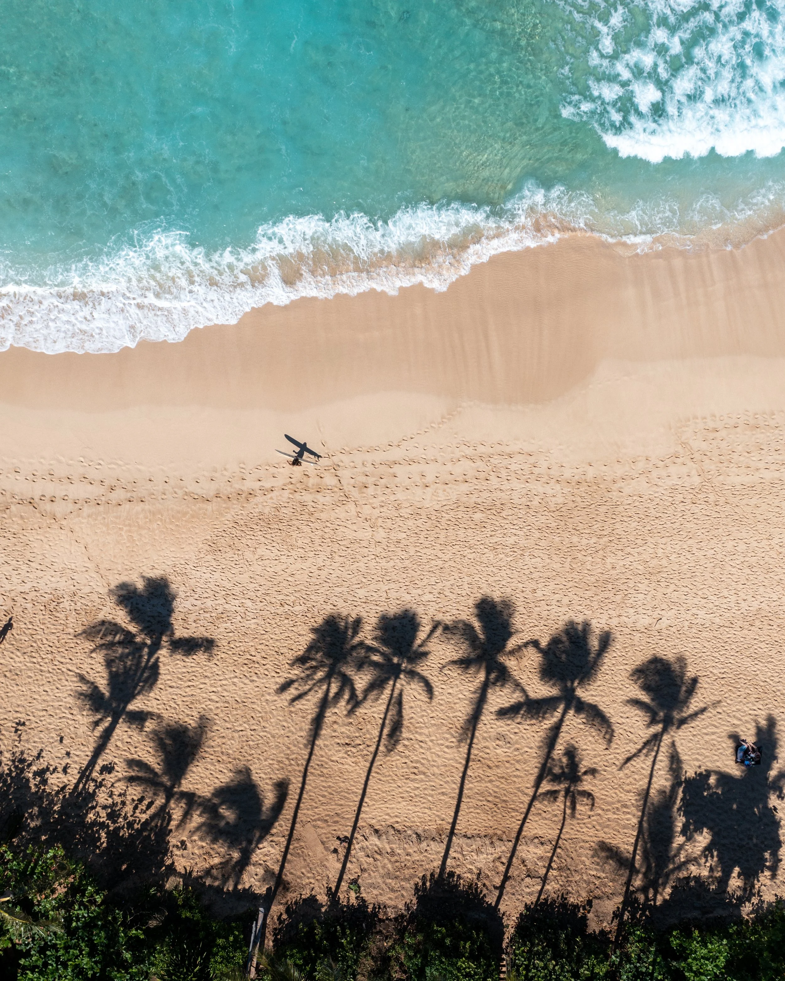 Shadows of Ehukai