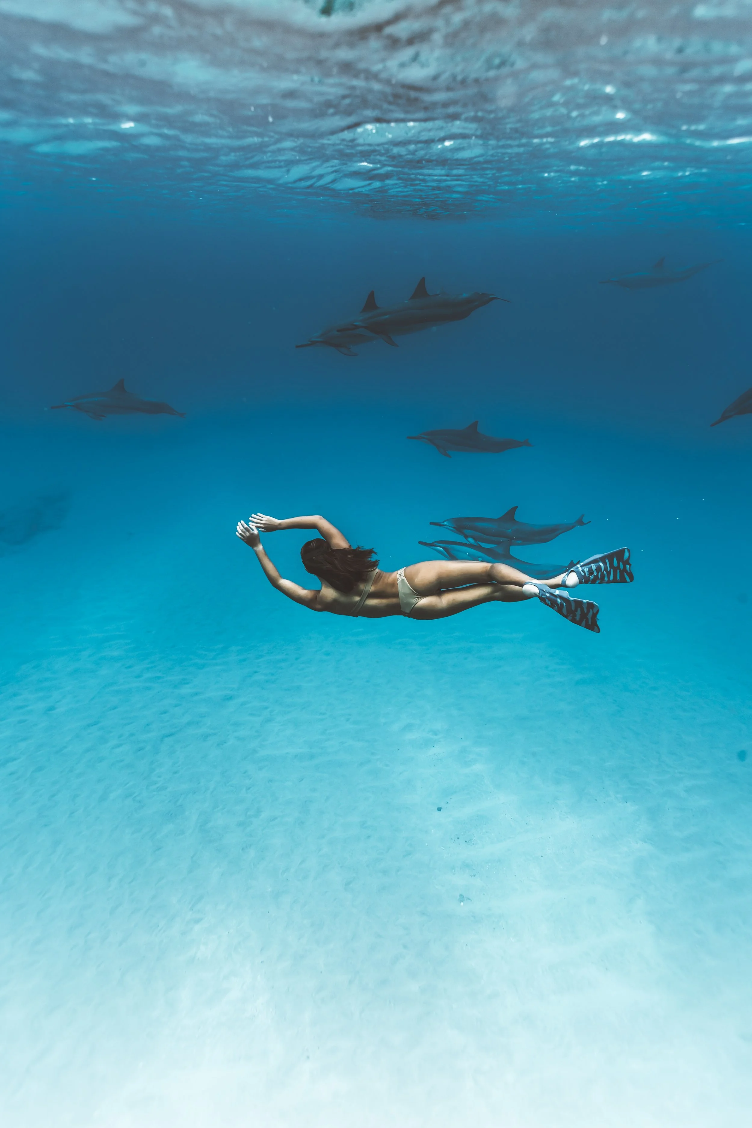 Underwater Harmony